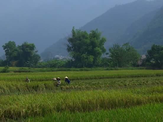 Linh Soi Homestay Mai Châu Zewnętrze zdjęcie